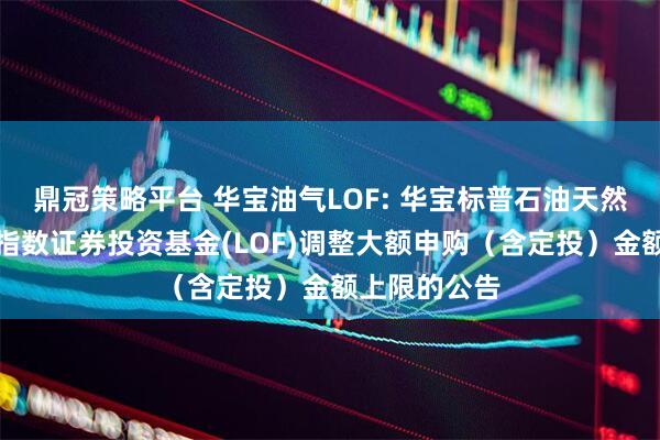 鼎冠策略平台 华宝油气LOF: 华宝标普石油天然气上游股票指数证券投资基金(LOF)调整大额申购(含定投)金额上限的公告