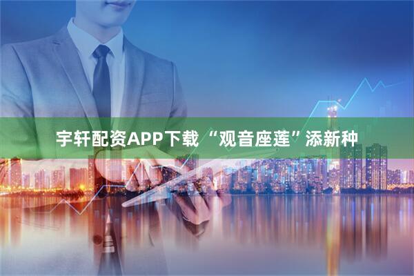 宇轩配资APP下载 “观音座莲”添新种