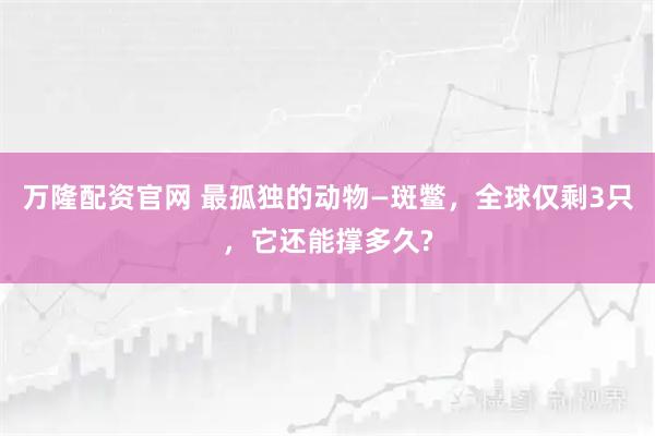 万隆配资官网 最孤独的动物—斑鳖,全球仅剩3只,它还能撑多久?