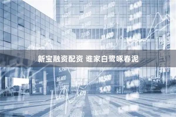 新宝融资配资 谁家白鹭啄春泥