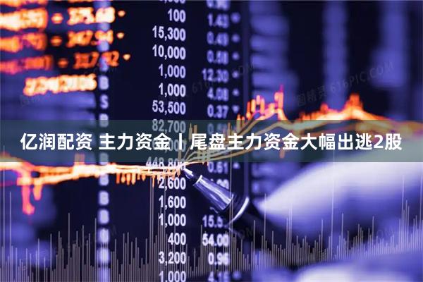 亿润配资 主力资金丨尾盘主力资金大幅出逃2股