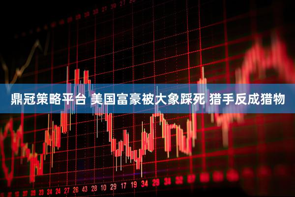 鼎冠策略平台 美国富豪被大象踩死 猎手反成猎物